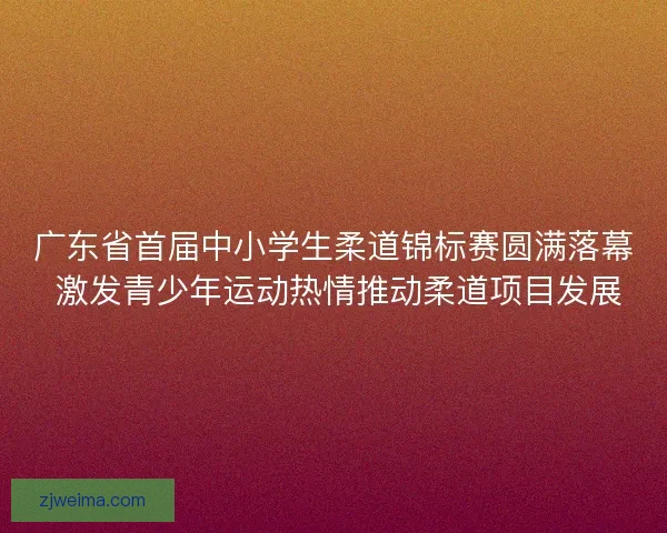 广东省首届中小学生柔道锦标赛圆满落幕 激发青少年运动热情推动柔道项目发展